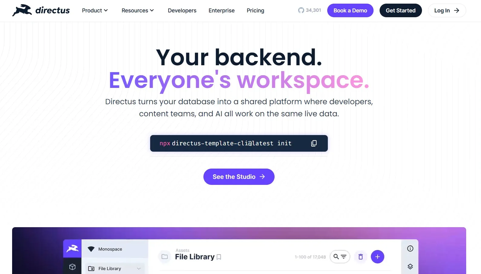 Image of Directus homepage